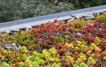 the cost of Low Laithe green roof installation