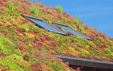 Low Laithe living roof systems
