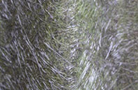 Low Laithe fibreglass roof work